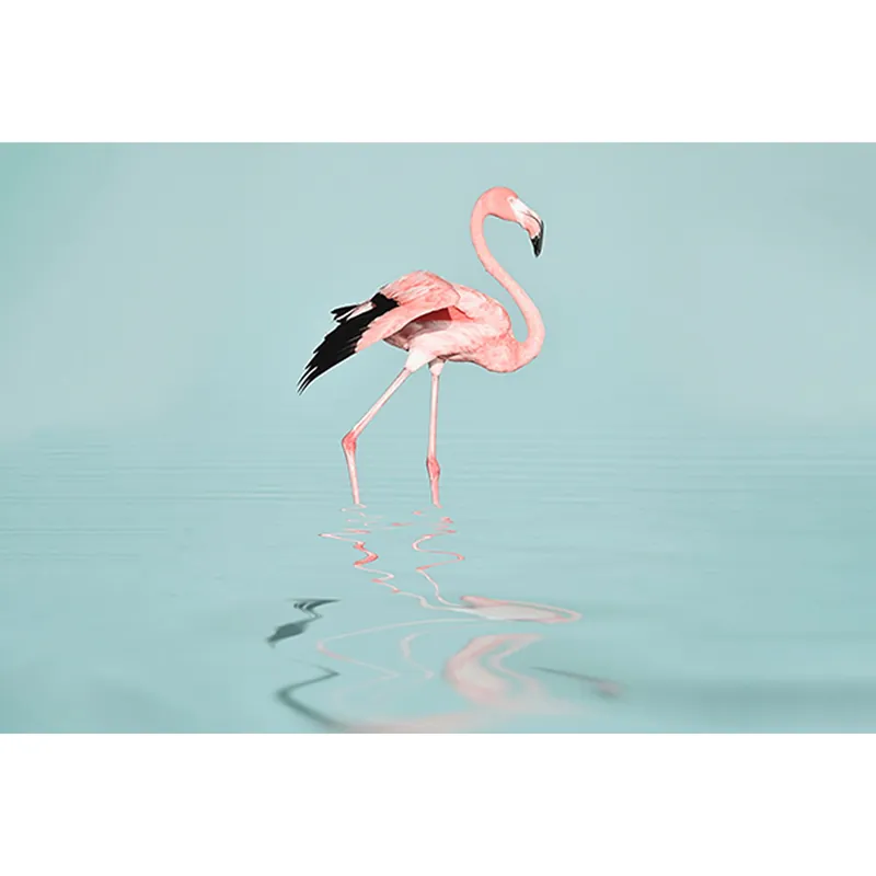 Tadessi Fototapete Flamingo M1-No.61015 Digitaldruck Tapete Rosa Blau - Vögel Strand Begrenztes Angebot
