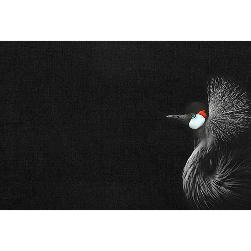 Tadessi Fototapete Vögel M1-No.61022 Digitaldruck Tapete Schwarz Weiß - Tiere Natur Highlight