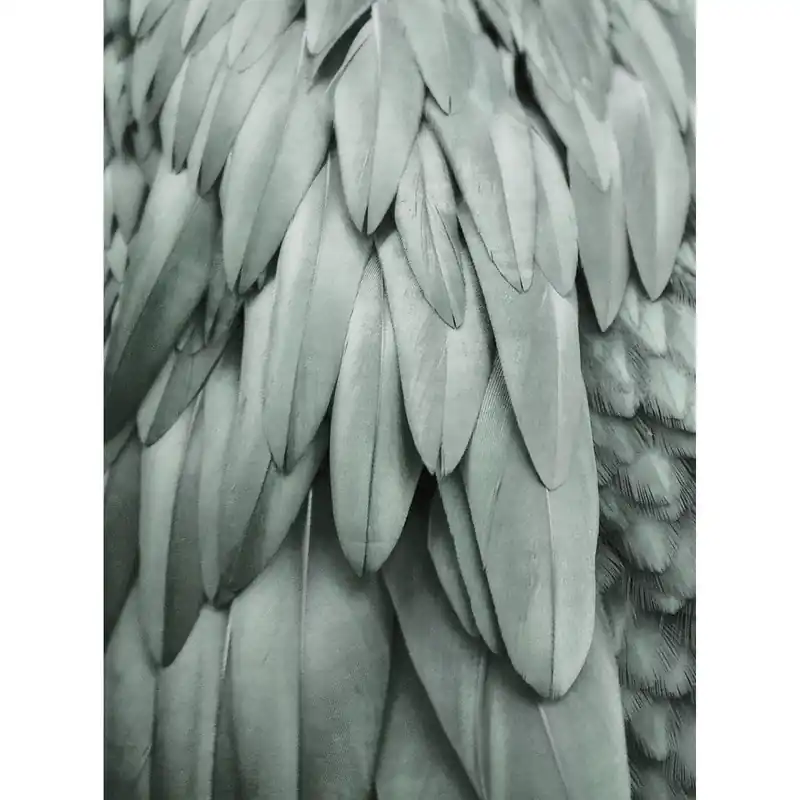 Garantierte Lieferung Tadessi Fototapete Vögel M1-No.61032 Digitaldruck Tapete Grün Grau - Tiere Natur