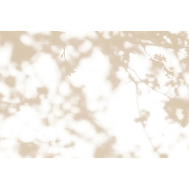 Meistverkauft Tadessi Fototapete Blumen M1-No.61189 Digitaldruck Tapete Beige Weiß - Natur