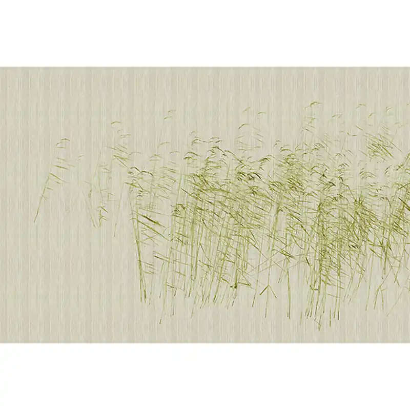 Tadessi Fototapete Natur M1-No.61193 Digitaldruck Tapete Grün Beige - Gräser Nur Heute