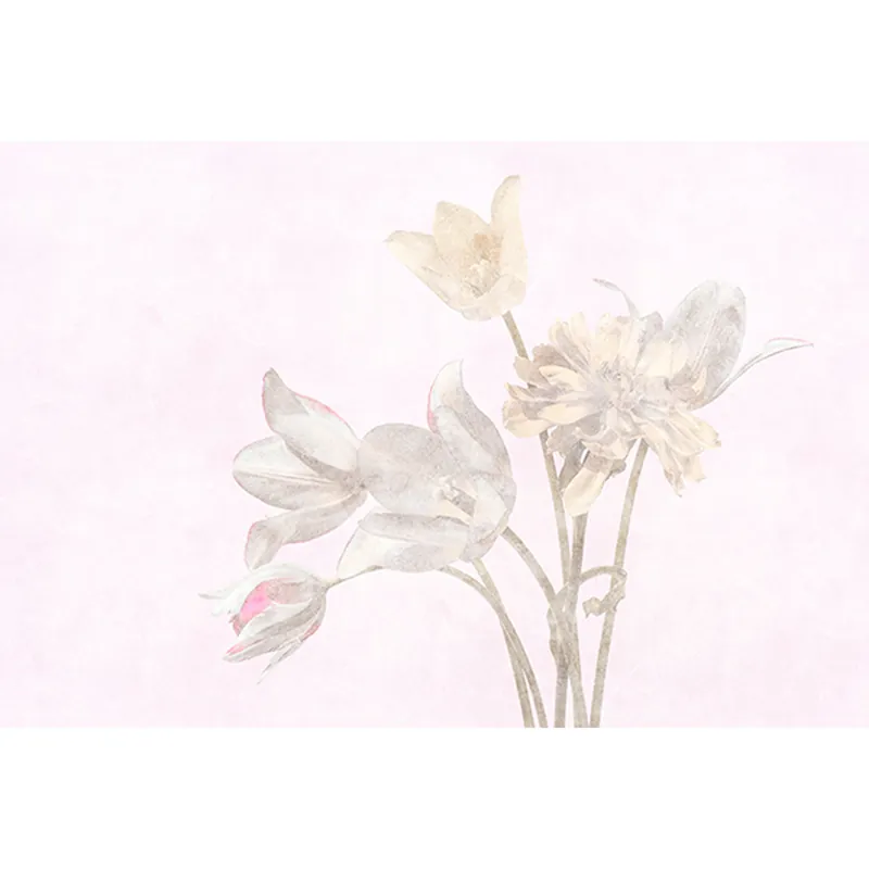 Aktuell Tadessi Fototapete Blumen M1-No.61277 Digitaldruck Tapete Violette Gelb