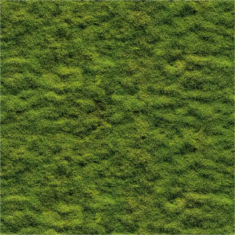 Super-Preis Fototapete Mooswand M1-No.11724 | Vliestapete Natur | Grün | Wohnzimmer | Schlafzimmer | Küche