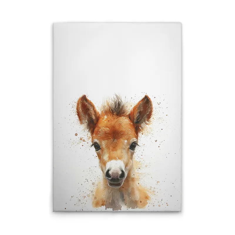 Preisreduziert Tadessi Leinwandbild Baby Fohlen Kinderzimmer - 60 x 90 cm - M1-No.51915 - Keilrahmen in Weiß Braun