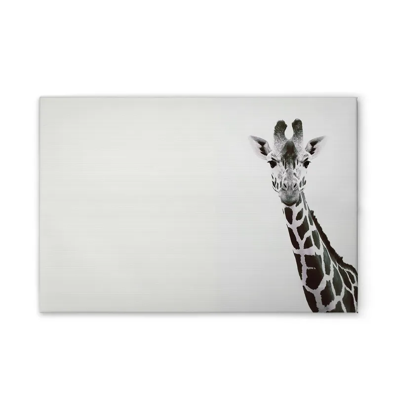 Ausverkauf Tadessi Leinwandbild Tiere Giraffe - 120 x 80 cm - M1-No.51135 - Keilrahmen in Schwarz Weiß