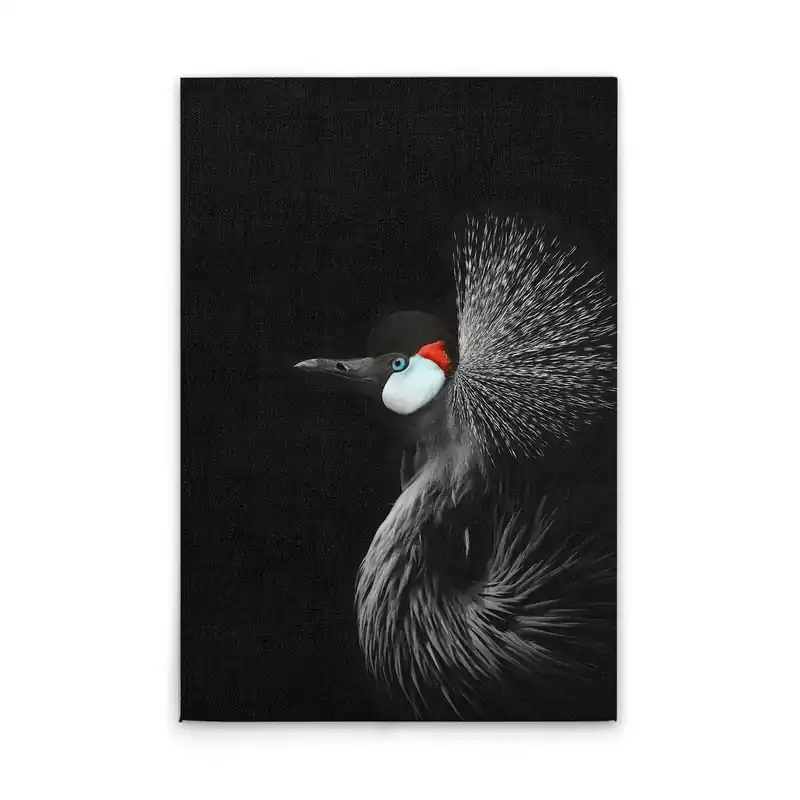 Tadessi Leinwandbild Tiere Kranich - 50 x 75 cm - M1-No.51103 - Keilrahmen in Schwarz Weiß Preisknaller