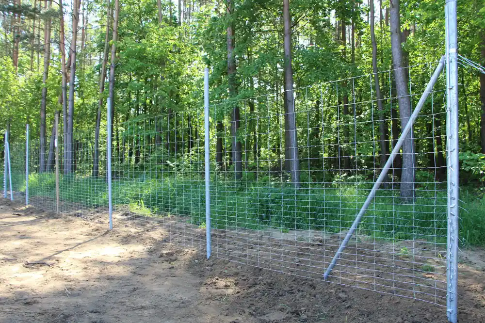 Preiswert Wildzaun / Knotengeflecht / Wildgatter / Forstzaun