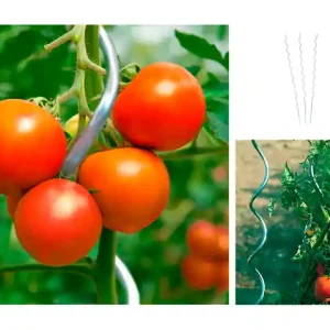 Versand Am Gleichen Tag 10er Set Tomatenspiralstab