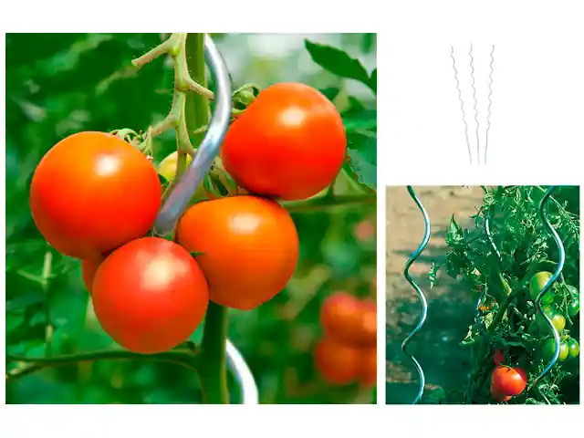 Versand Am Gleichen Tag 10er Set Tomatenspiralstab
