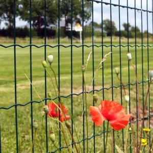 Markenprodukt Komplettset VIVA - Drahtgitter Gitterzaun Maschendraht Schweißgitter Gartenzaun