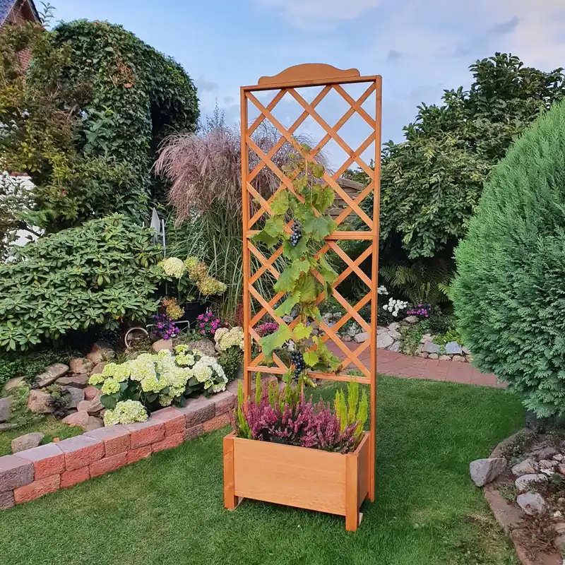 Rankkasten Botanica, 69x210 cm Sonderangebot