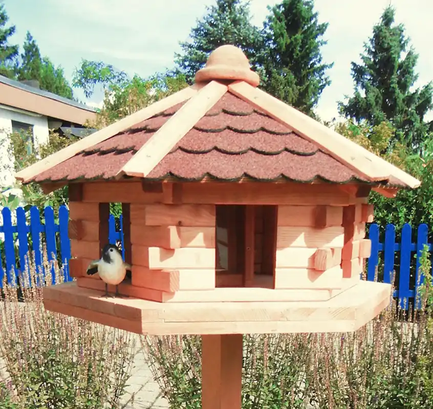 Vogelhaus Knusperhäuschen Angebot